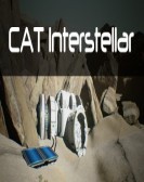 CAT Interstellar poster