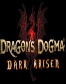 Dragons Dogma Dark Arisen poster