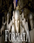 Formata Free Download