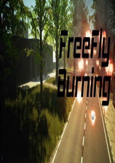 FreeFly Burning poster