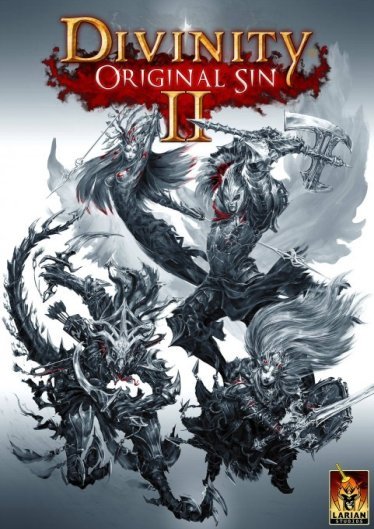 Divinity Original Sin 2 poster