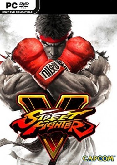 Street Fighter V poster