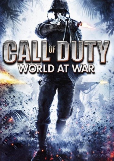 Call Of Duty World At War poster