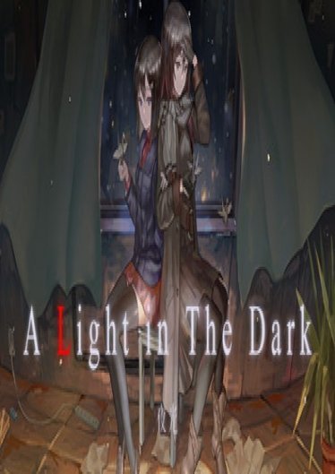 A Light in the Dark Incl Manga poster