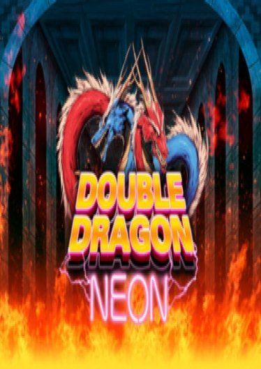 Double Dragon Neon poster