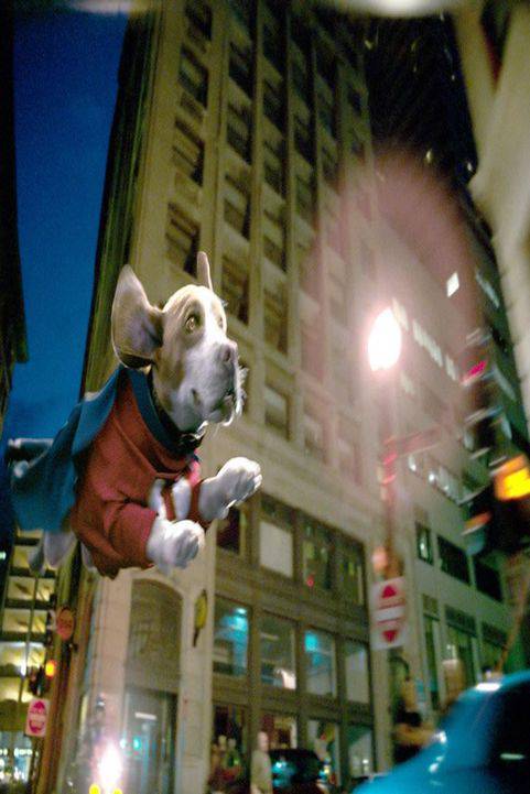 Underdog (2007) poster