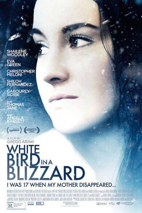 White Bird in a Blizzard (2014) poster