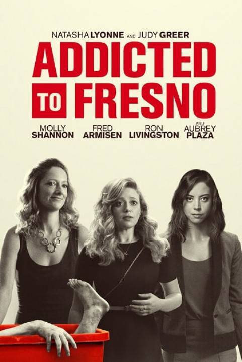 Addicted to Fresno (2015) poster