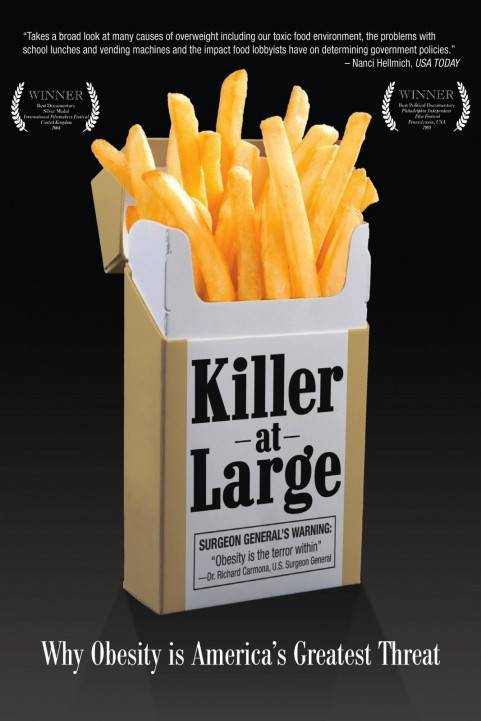 Killer at Large poster