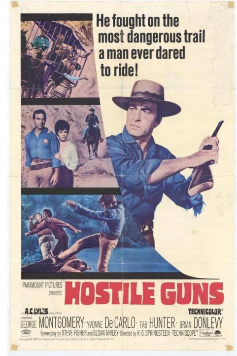 Hostile Guns poster