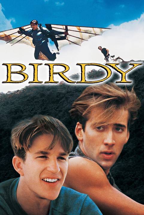 Birdy poster