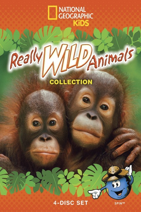 Wild Animals Movies Online