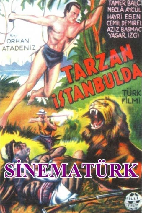 Tarzan Istanbulda poster