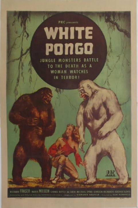 White Pongo poster