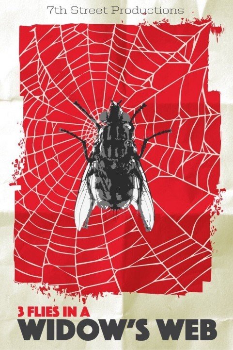 3 Flies in a Widow's Web poster