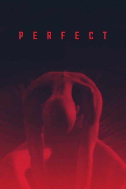 Perfect (2019) poster