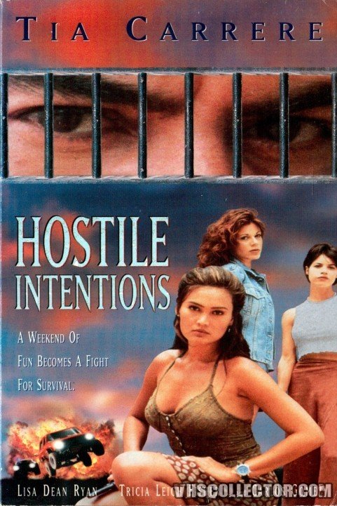 Hostile Intentions (1995) poster