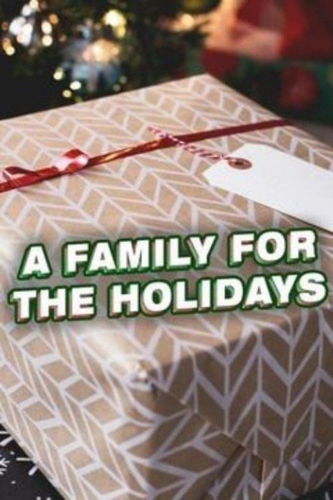 A Family for the Holidays (2017) poster