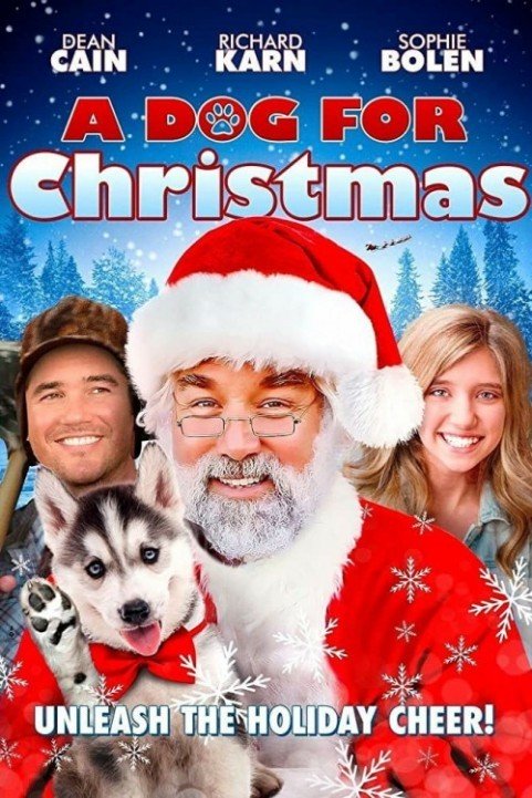 A Dog for Christmas (2015) poster