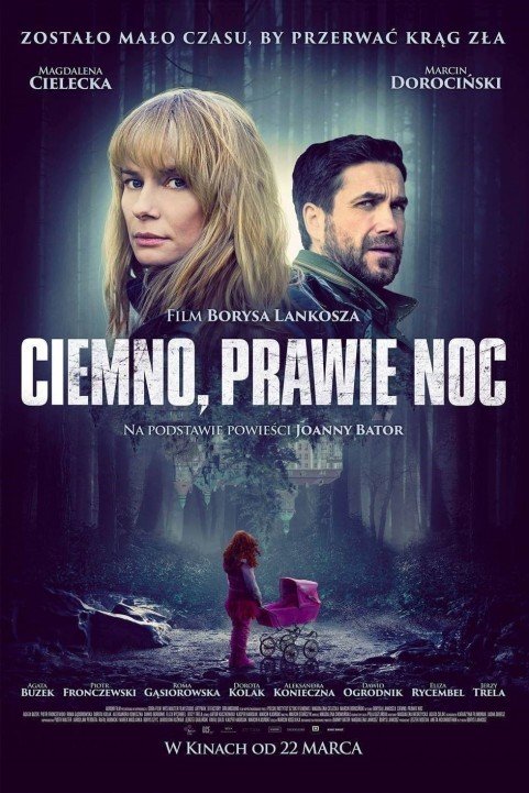 Ciemno, prawie noc (2019) poster