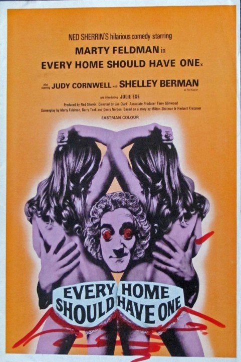 Every Home Should Have One (1970) poster