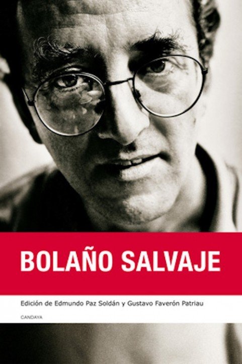 Bolaño cercano (2008) poster