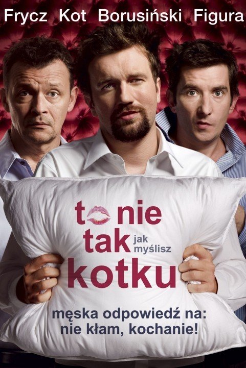 To nie tak jak myslisz, kotku (2008) poster