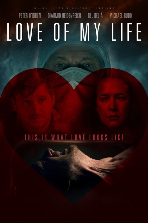 Love of My Life (2013) poster