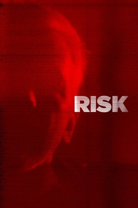 Risk (2017) poster