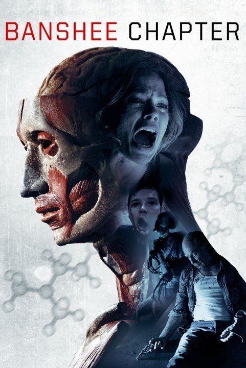 Banshee Chapter (2013) poster