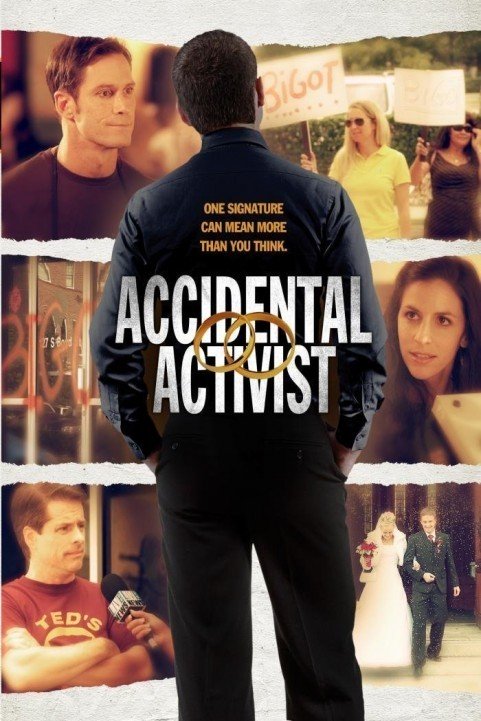 Accidental Activist (2013) poster