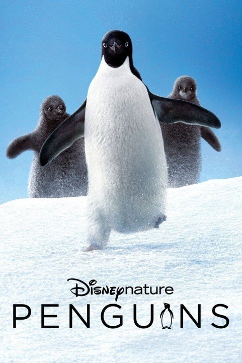 Penguins (2019) poster