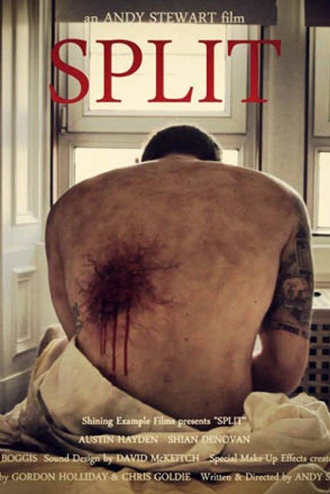 Split (2014) poster