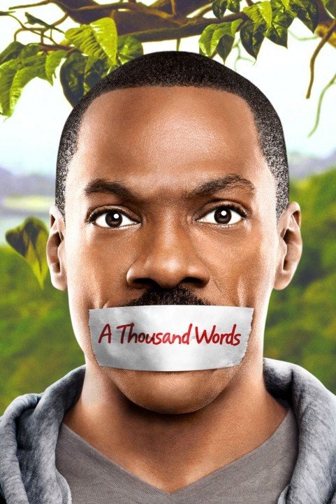 A Thousand Words (2012) poster