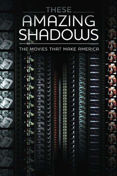 These Amazing Shadows (2011) poster