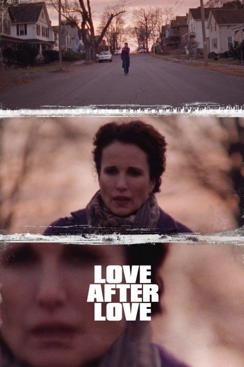 Love After Love (2018) poster