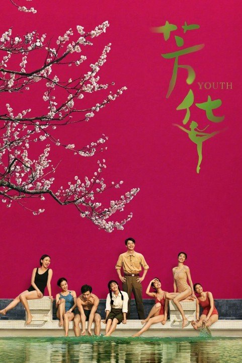 芳华 (2017) poster