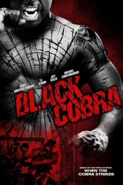 When the Cobra Strikes (2012) poster