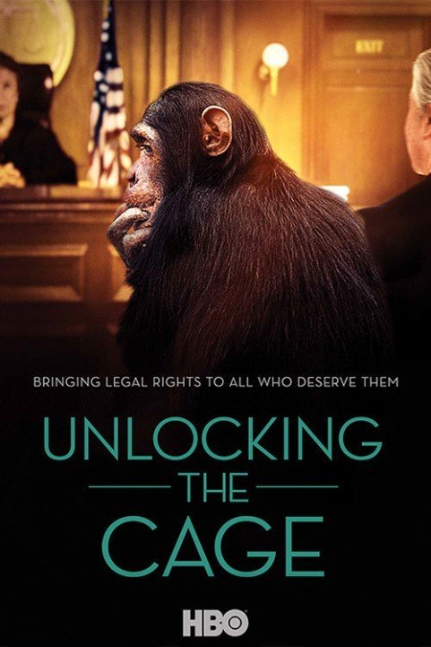 Unlocking the Cage (2016) poster