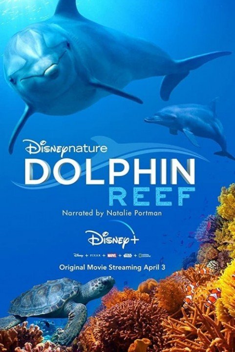 Dolphin Reef (2020) poster