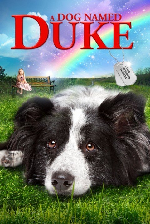 Duke (2012) poster