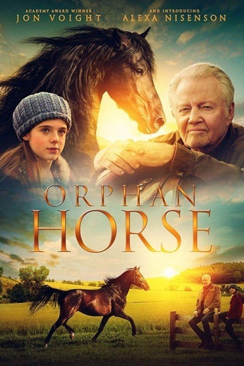 Orphan Horse (2018) poster