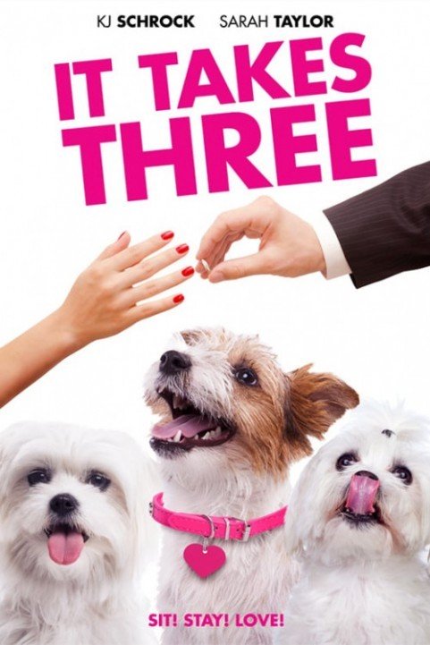 It Takes Three (2019) poster