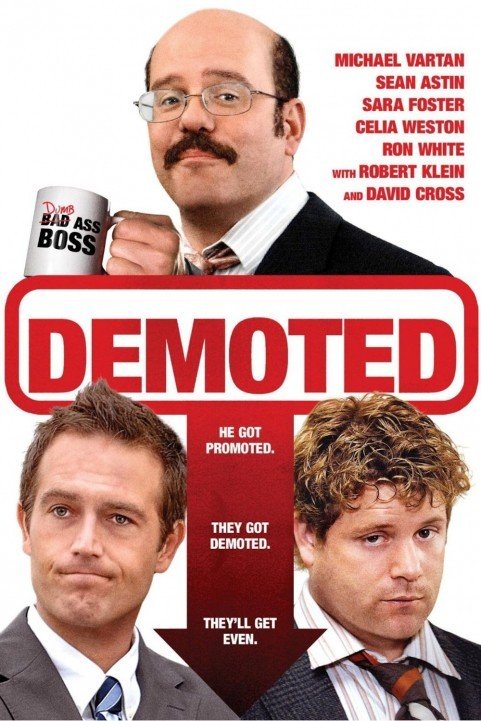 Demoted (2011) poster