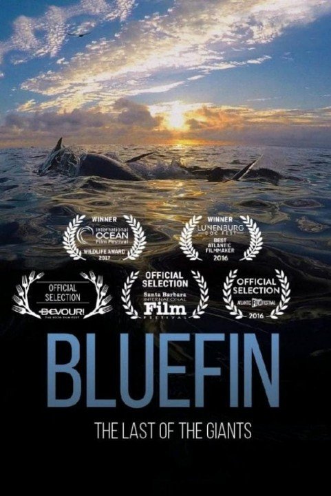 Bluefin (2017) poster