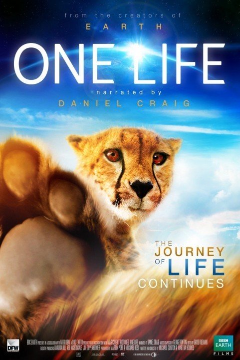 One Life (2011) poster