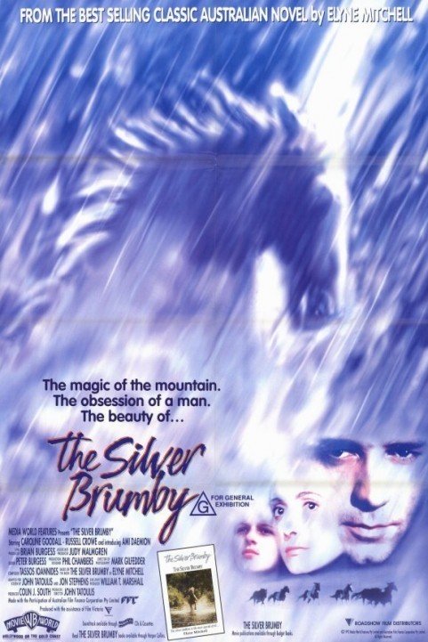 The Silver Stallion (1993) poster