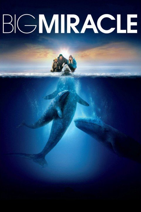 Big Miracle (2012) poster