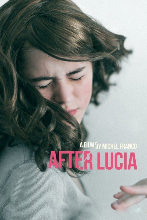 Después de Lucía (2012) poster