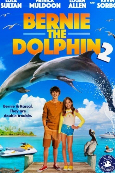 Bernie the Dolphin 2 (2019) poster